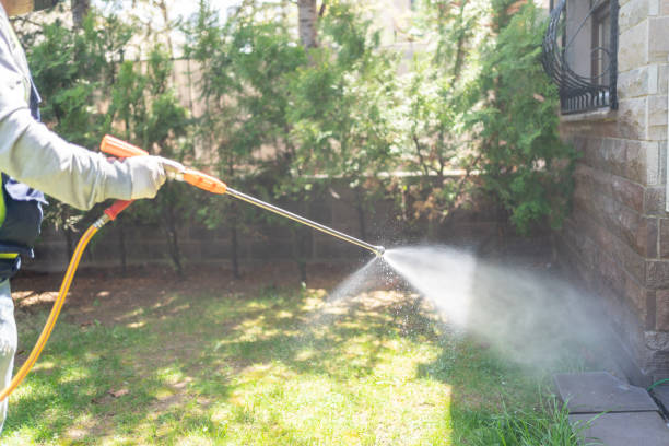 Best Fumigation Services  in Carson City, MI